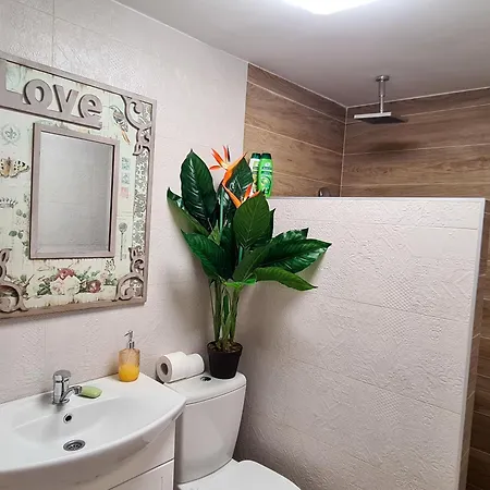 公寓 Horizont 奥夫查尔巴尼亚尼