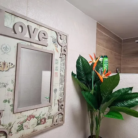 Horizont * 奥夫查尔巴尼亚尼